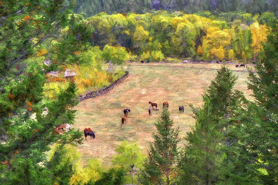 Mountain Photograph - Gros Ventre Dude Ranch by Donna Kennedy