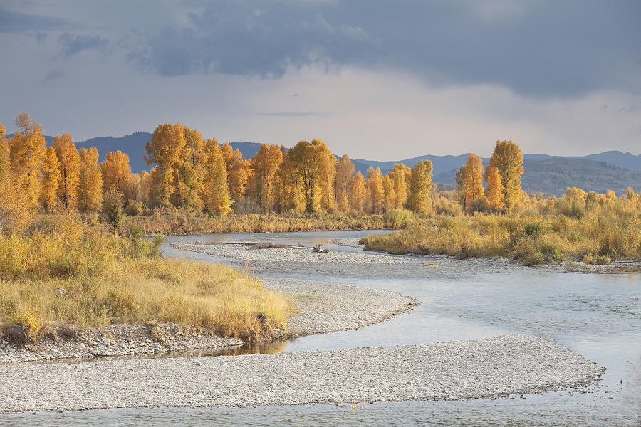 Gros Ventre in Grand Teton National Park in autumn, Wyoming, USA Photograph by David Henderson