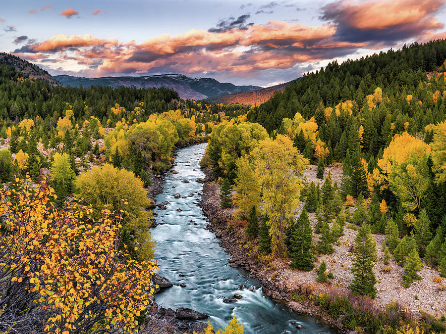 Nature Photograph - Gros Ventre River Autumn Wyoming by Leland D Howard