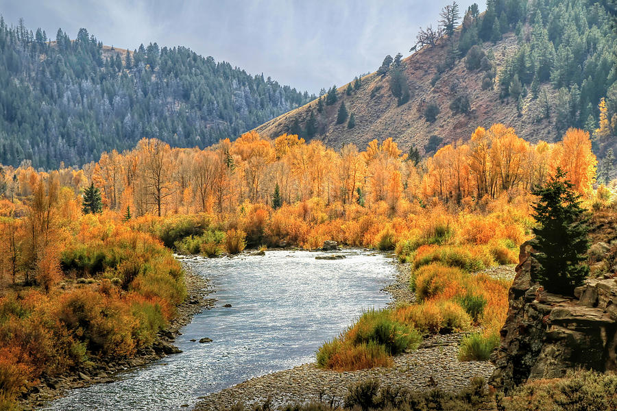 Gros Ventre River Photograph by Donna Kennedy - Fine Art America