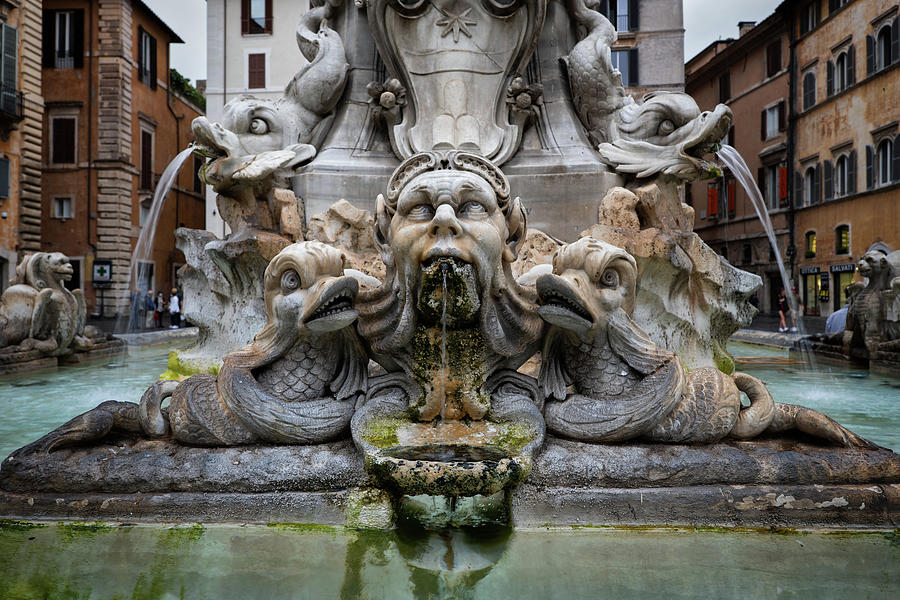 Grotesque Face And Dolphins Of Pantheon Fountain Photograph by Artur Bogacki