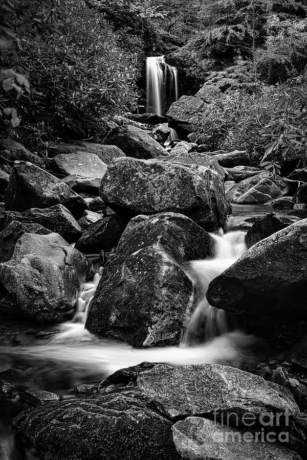 Grotto Falls B-w Photograph