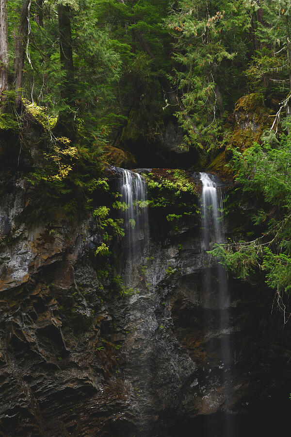 Grotto Falls - Oregon Photograph by Jennifer Richardson - Fine Art America