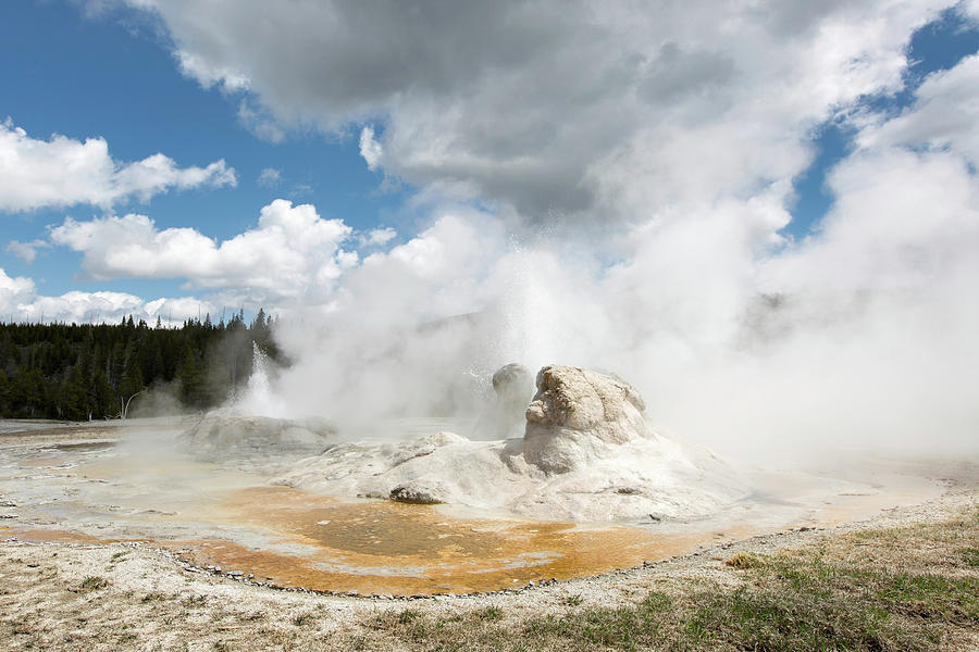 Grotto Geyser, Yellowstone National Park Photograph by The Yellowstone ...