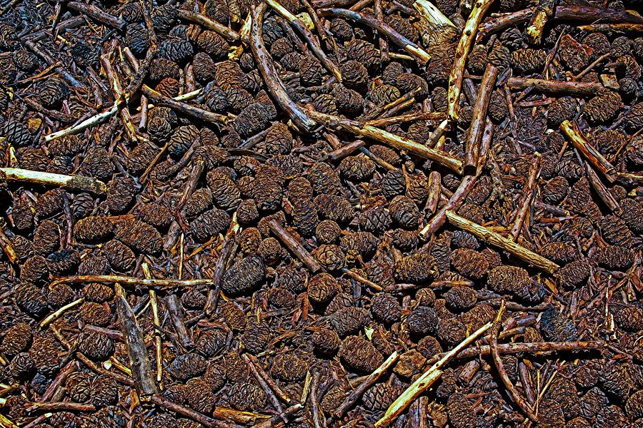 Ground Cover Abstract Digital Art by David Desautel