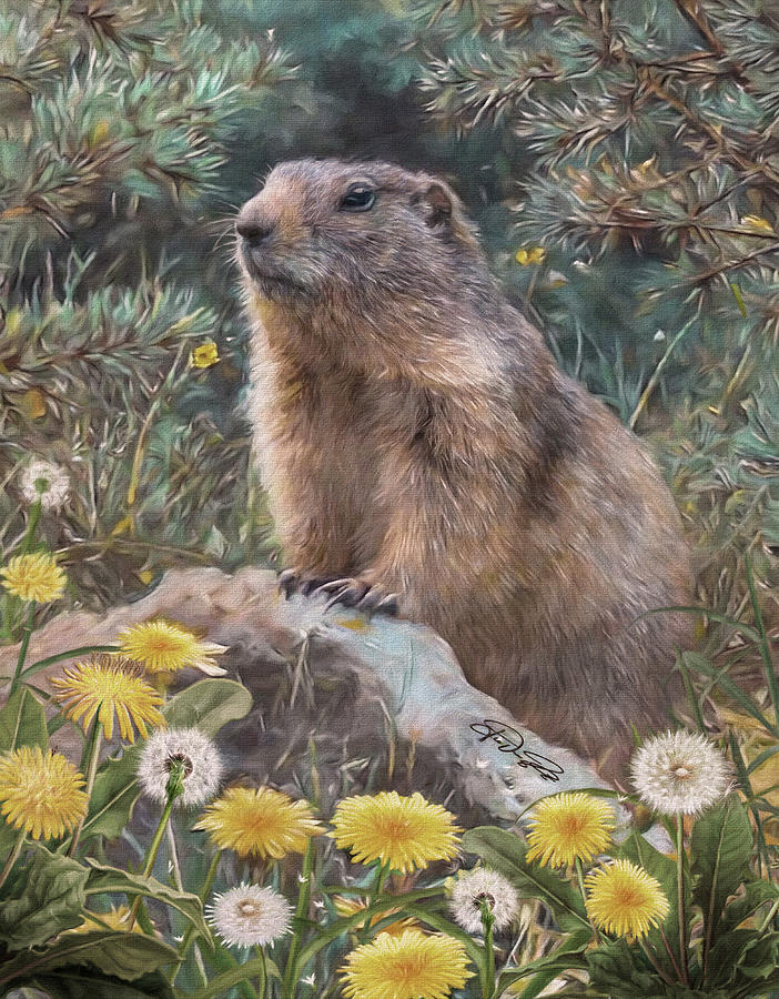 Flower Painting - Groundhog by Jurgen Doelle