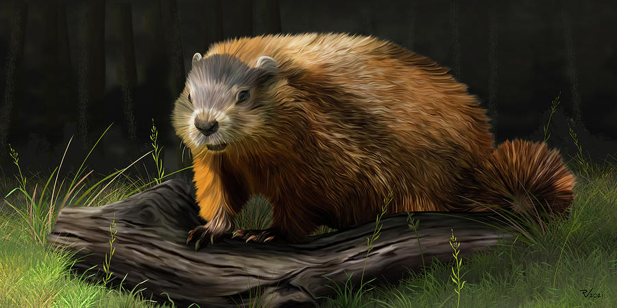 Groundhog Digital Art by Philip Valende - Fine Art America