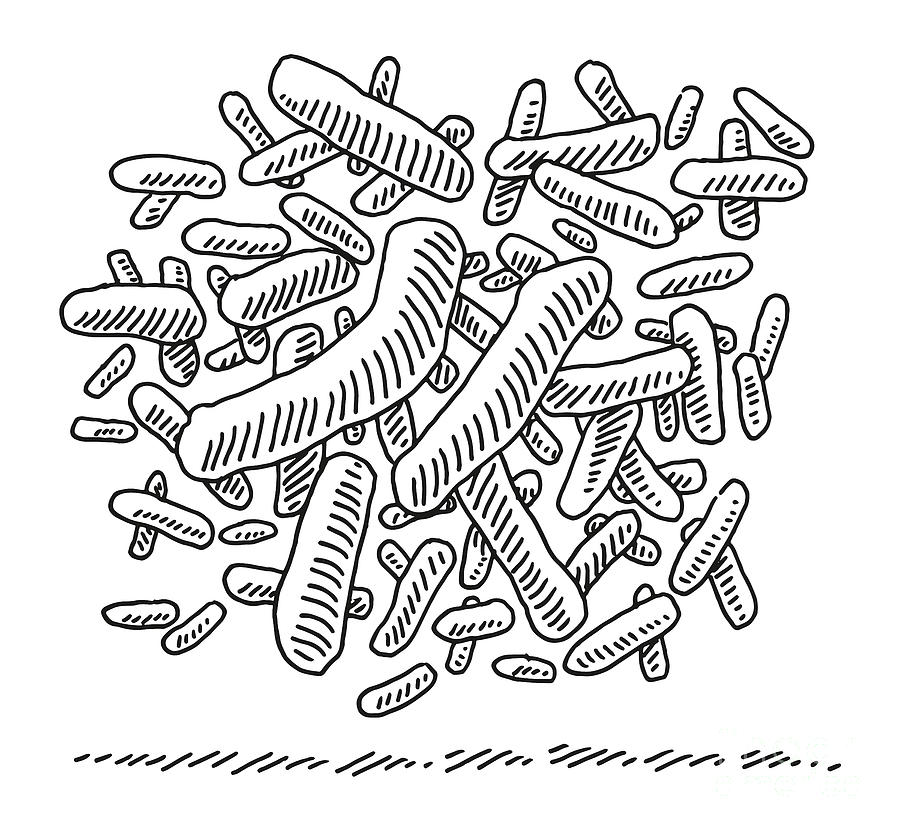 Black And White Drawing - Group Of Bacteria Cells Drawing by Frank Ramspott