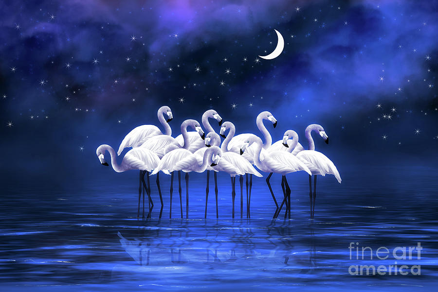 Fantasy Digital Art - Group of flamingos stands in a lake in the moonlight by Nika Lerman