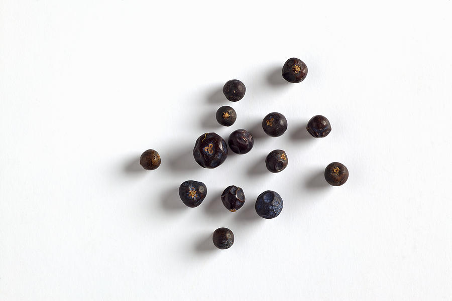 Group of juniper berries Photograph by Image Professionals GmbH