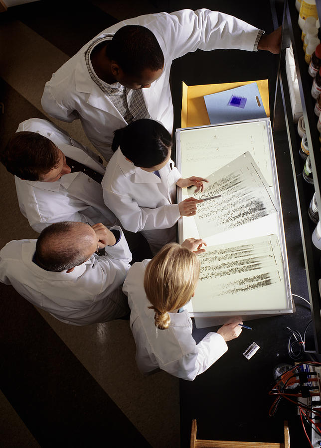 Group of laboratory technicians examining data on light box, overhead view Photograph by Ryan McVay