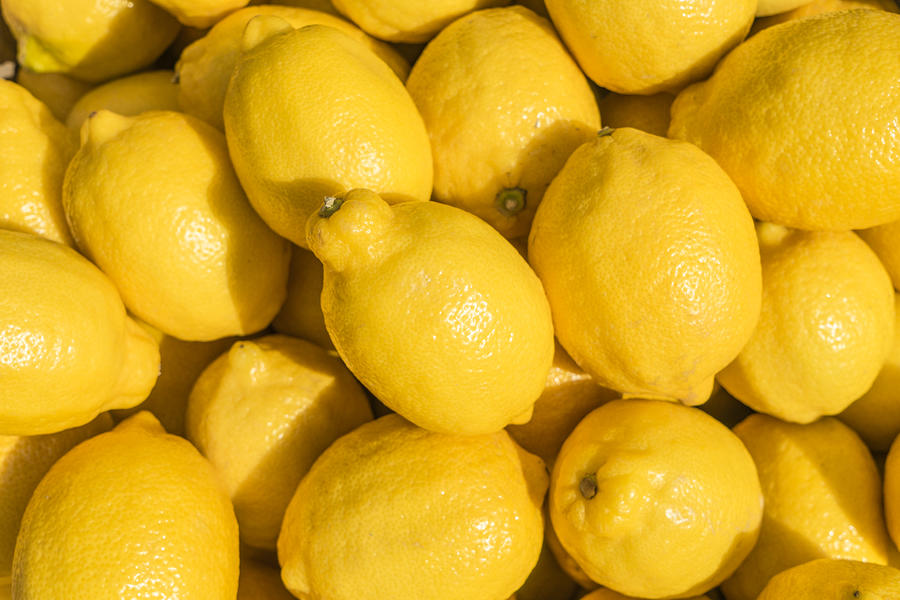 Group of lemons Photograph by Tim Bird