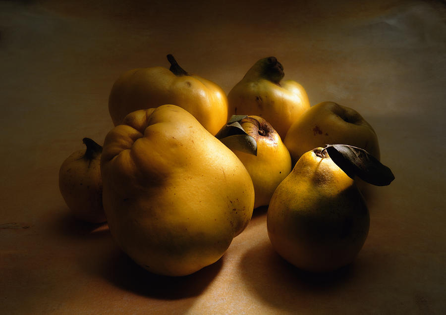 Group of quinces of different sizes, close-up Photograph by Jean-Blaise Hall