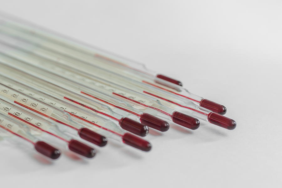 Group of thermometers over white background Photograph by Vladimir Godnik