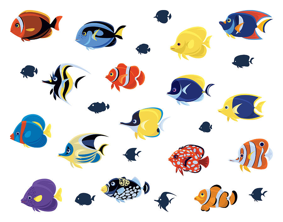 Group Of Tropical Fishes Drawing by Id-work Group Of Tropical Fishes Drawing by Id-work