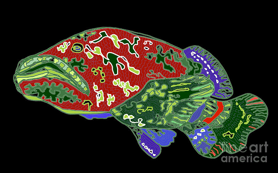 Grouper Fish Prints on a Black Background Drawing by Robert Yaeger