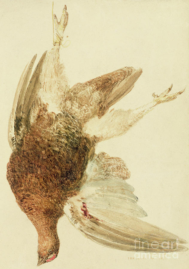 Grouse, from The Farnely Book of Birds Painting by Joseph Mallord William Turner