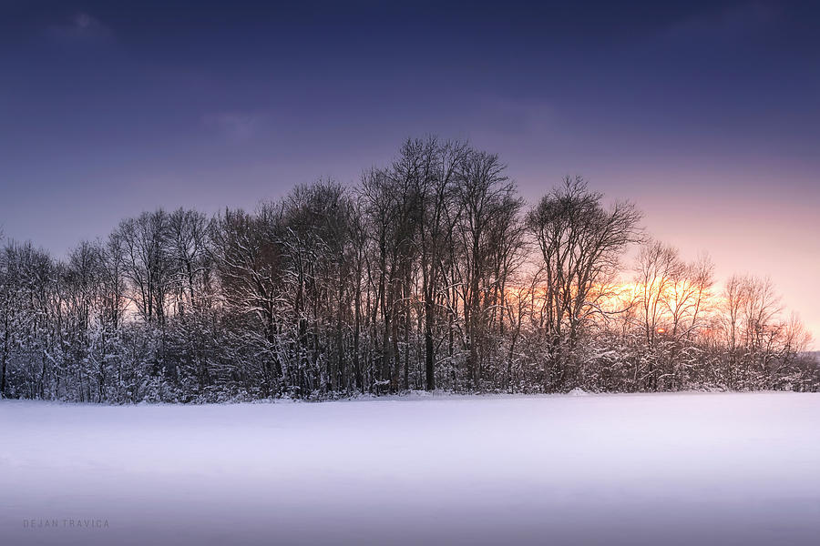 Grove in a field covered with snow Photograph by Dejan Travica Grove in a field covered with snow Photograph by Dejan Travica