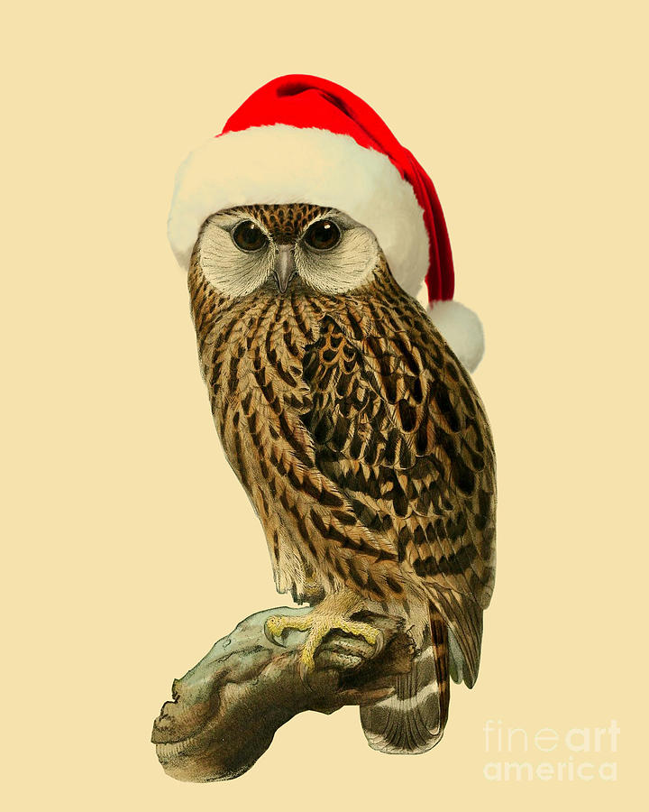 Owl Digital Art - Grow Merry Little Owl by Madame Memento