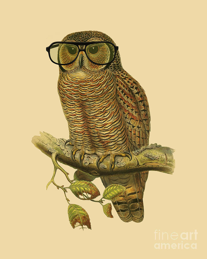 Owl Digital Art - Grow Wise Little Owl by Madame Memento