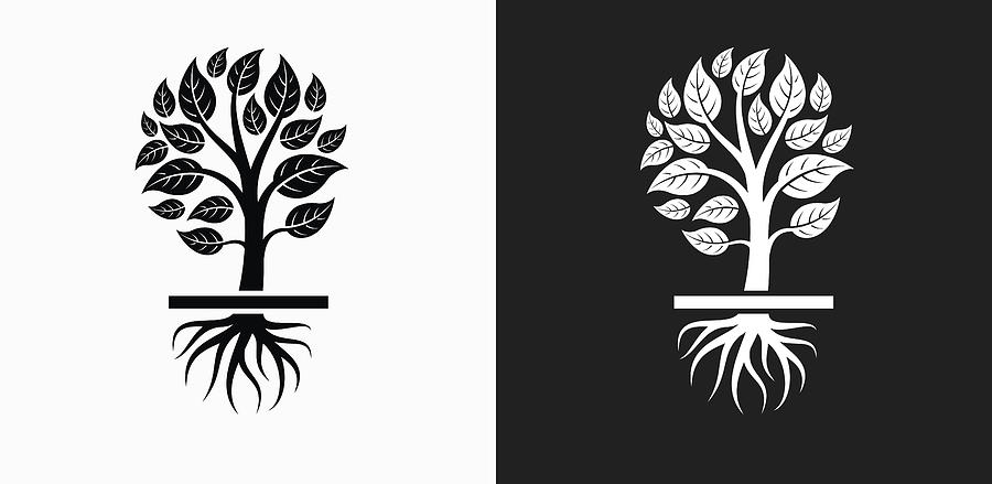Growing Tree Icon on Black and White Vector Backgrounds Drawing by Bubaone