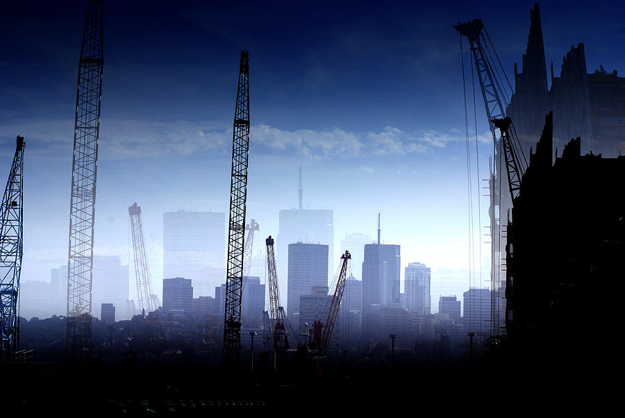 City Scene Photograph - Growth in the City by Holly Kempe City Scene Photograph - Growth in the City by Holly Kempe