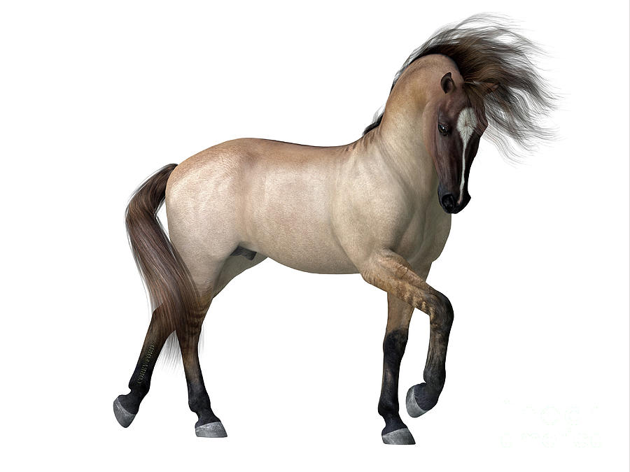 Grulla Dun Horse Digital Art