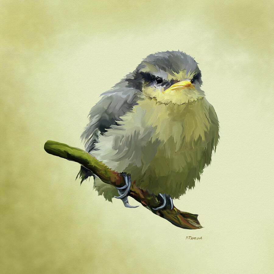 Grumpy Blue tit Fledgeling Digital Art by Bamalam Art Grumpy Blue tit Fledgeling Digital Art by Bamalam Art