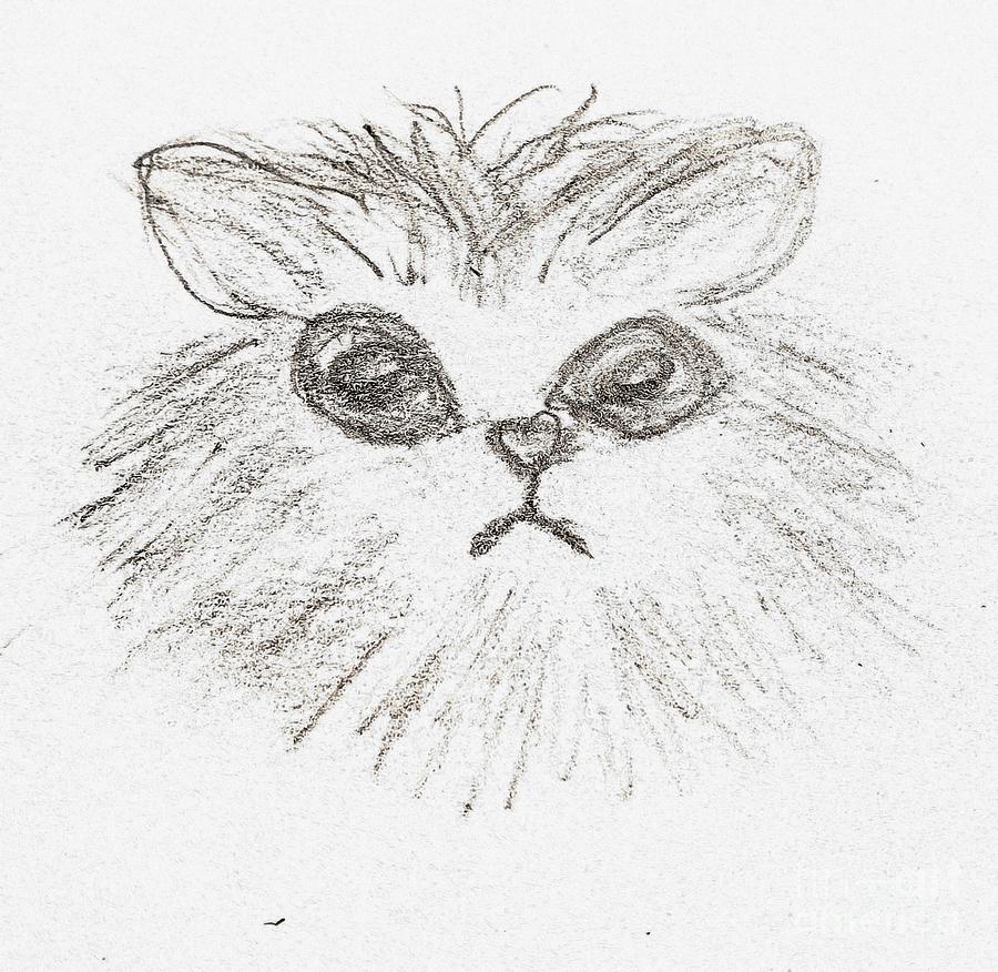 Grumpy Cat Painting by Margaret Welsh Willowsilk