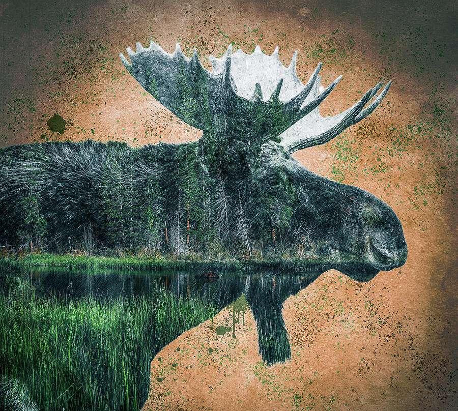 Grunge Bull Moose Texture Photograph by Dan Sproul Grunge Bull Moose Texture Photograph by Dan Sproul