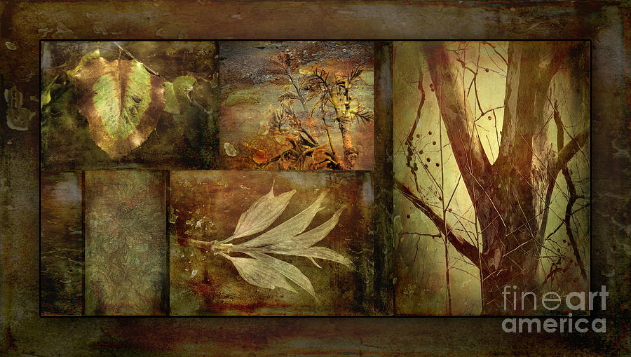 Tree Photograph - Grunge Foliage Montage by Rosanna Life