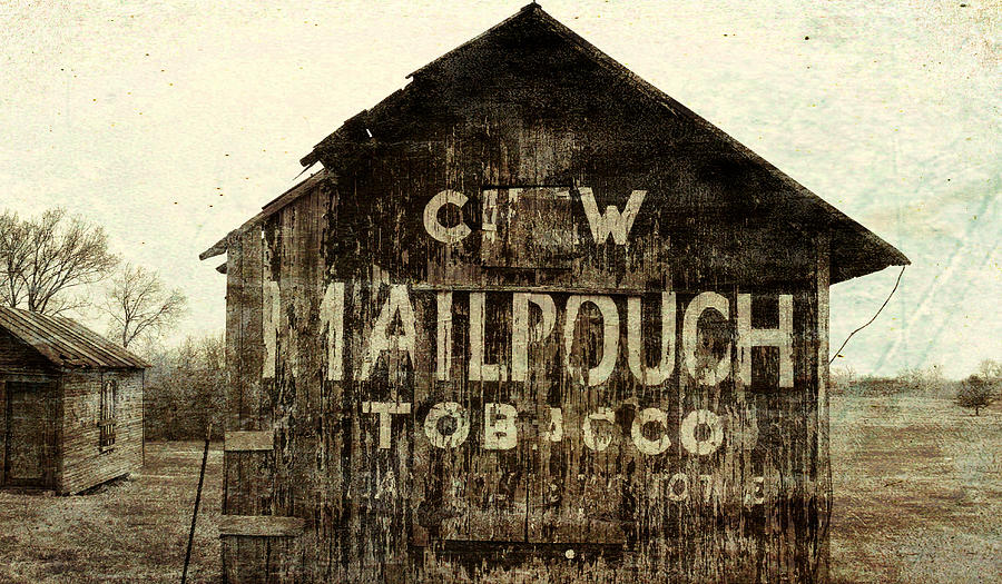 Grunge Mailpouch Tobacco Barn Photograph by Dan Sproul