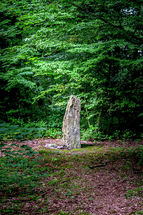 Gryet Megalith  Photograph by W Chris Fooshee