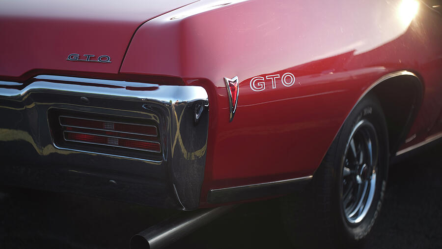 Pontiac Gto Photograph - GTO by Matt Sima
