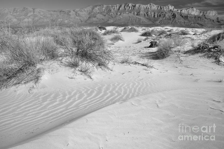 Guadalupe Gypsum Sand Dune Curves Black And White Photograph by Adam Jewell