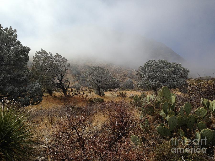 Guadalupe Mountains in Fog Photograph by Jeff Hubbard