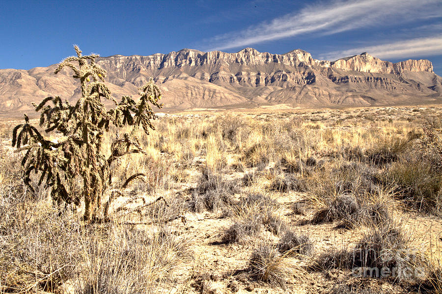 Guadalupe Mountains Salt Basin Dune Landscape Photograph by Adam Jewell