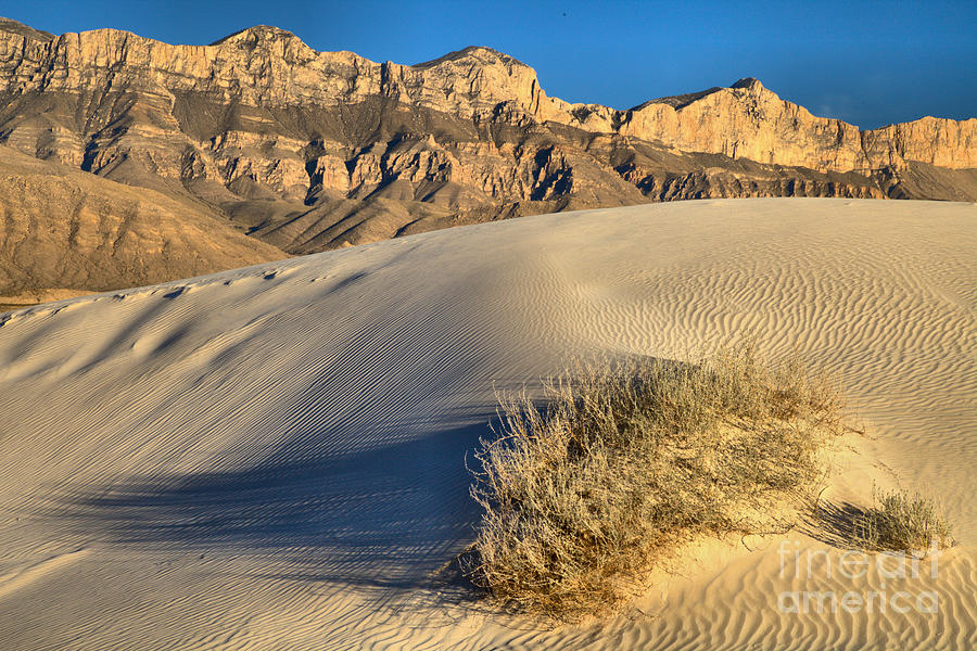 Guadalupe Mountains Salt Basin Dunes Landscape Photograph by Adam Jewell