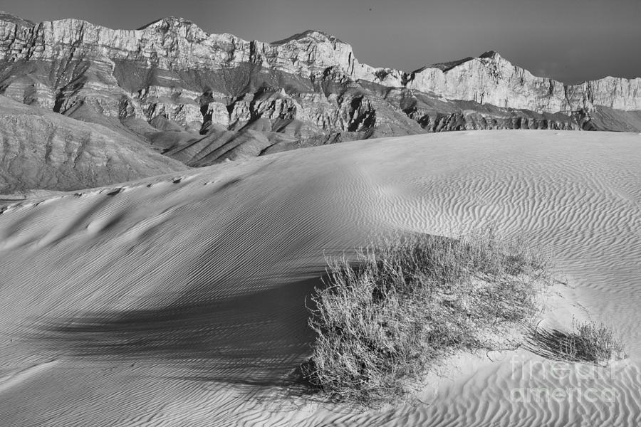 Guadalupe Mountains Salt Basin Dunes Landscape Black And White Photograph by Adam Jewell