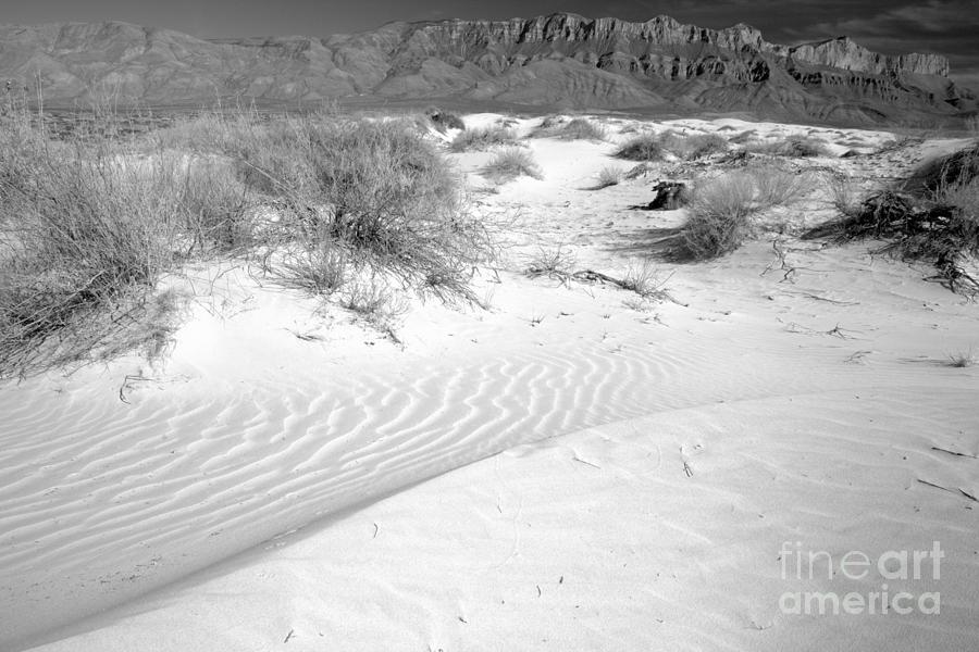Guadalupe Mountains Salt Basin Dunes Winter Landscape Black And White Photograph by Adam Jewell