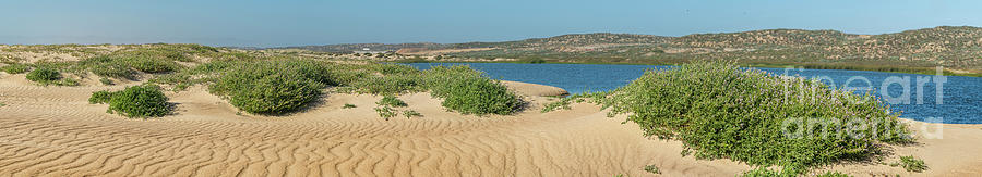 Guadalupe-Nipomo Dunes National Wildlife reserve, panorama Photograph by Hanna Tor