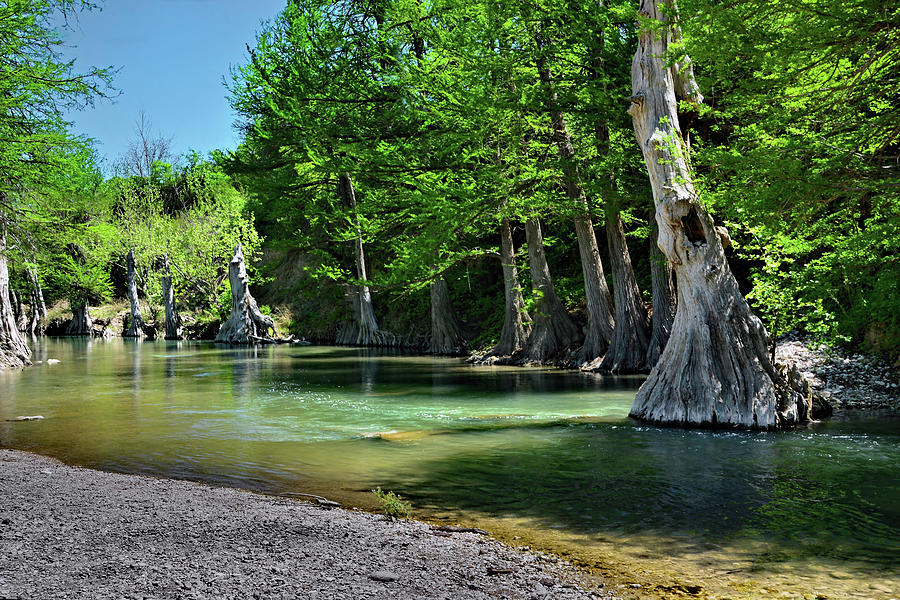 Guadalupe River Photograph by Ben Prepelka