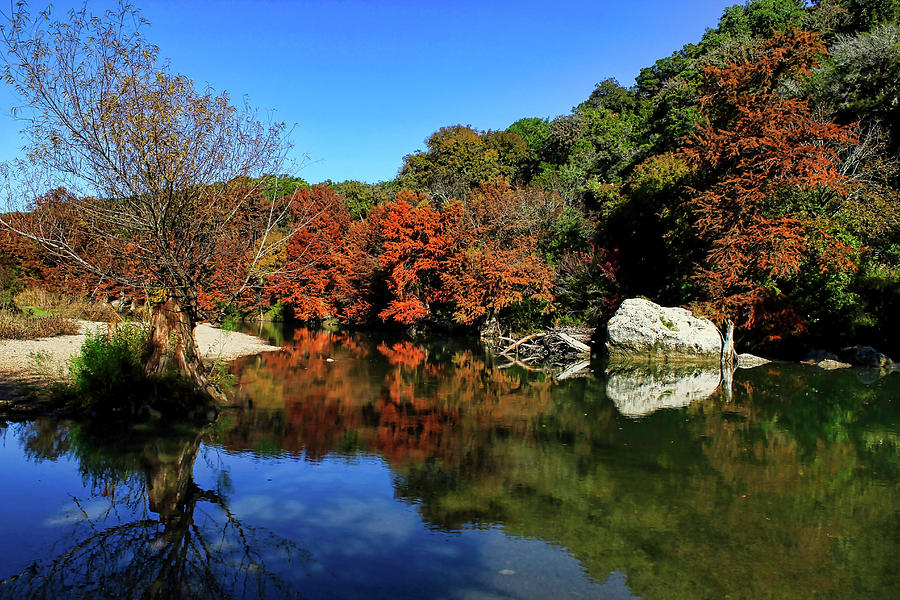 Guadalupe River State Park Photograph by Judy Vincent