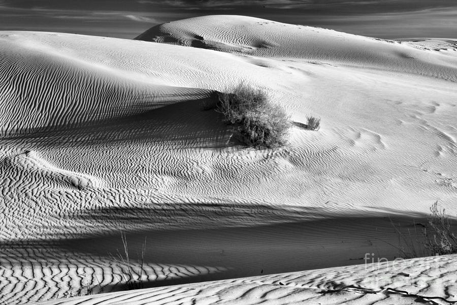 Guadalupe Salt Basin Shadows Black And White Photograph by Adam Jewell