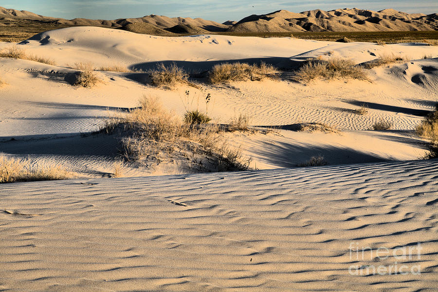 Guadalupe Texas Salt Basin Dunes Photograph by Adam Jewell