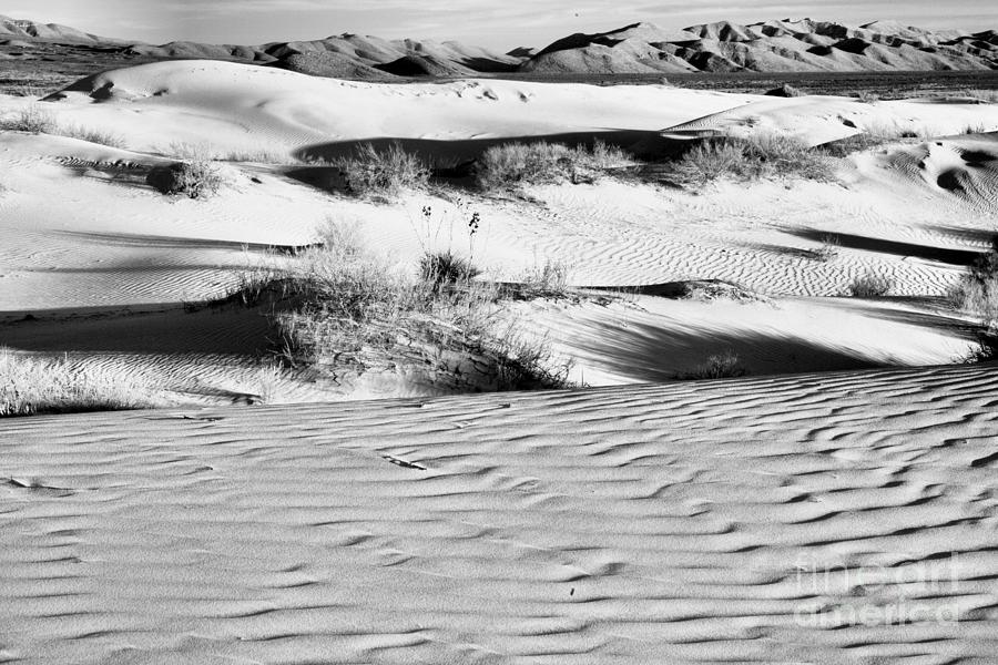 Guadalupe Texas Salt Basin Dunes Black And White Photograph by Adam Jewell