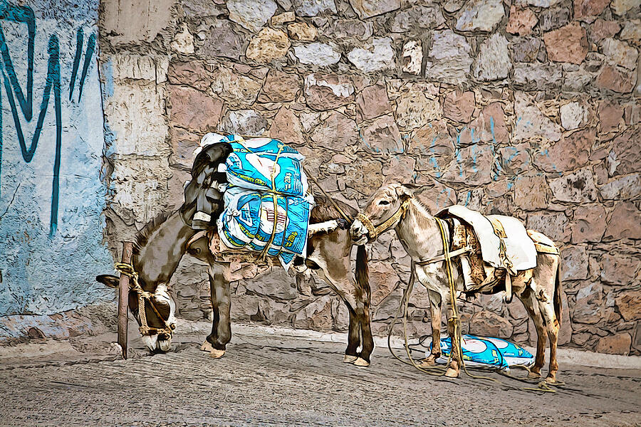 Guanajuato donkeys - ink digital paint Mixed Media by Tatiana Travelways