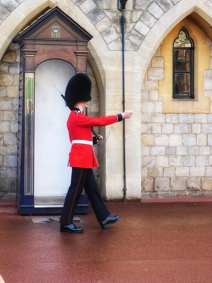 Windsor Castle Photograph - Guard at Windsor  by Karen Garden