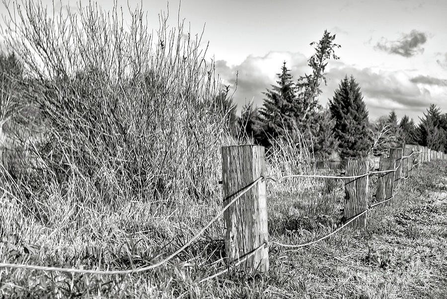 Guard Rail - Black And White Photograph by Jack Andreasen - Fine Art ...