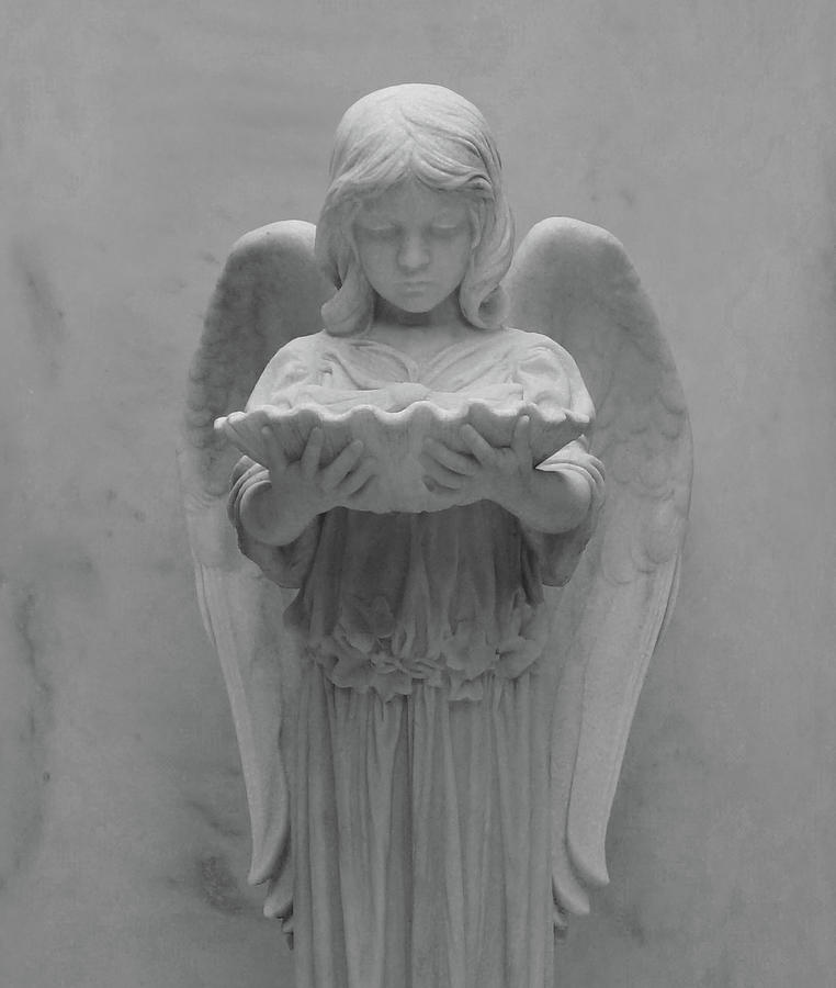Guardian Angel Photograph by Julia Wilcox